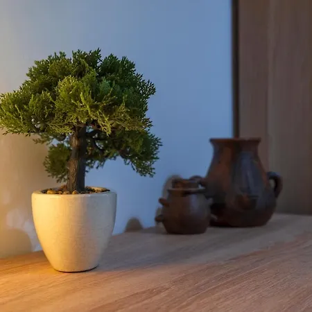 住宿加早餐酒店 Ardoc 3*