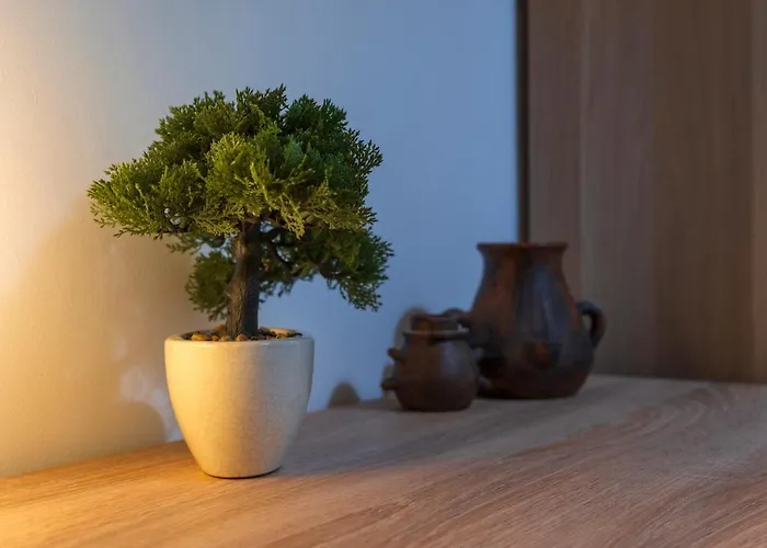 ベッド・アンド・ブレックファスト Ardoc 3*